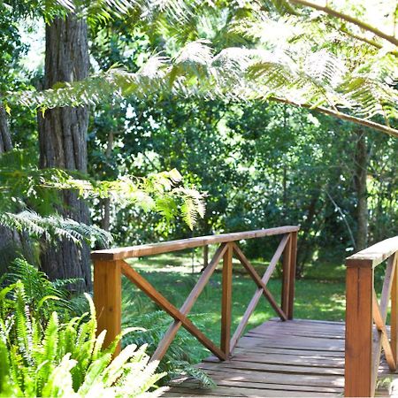 Andelomi Nature'S Rest Stormsrivier Esterno foto