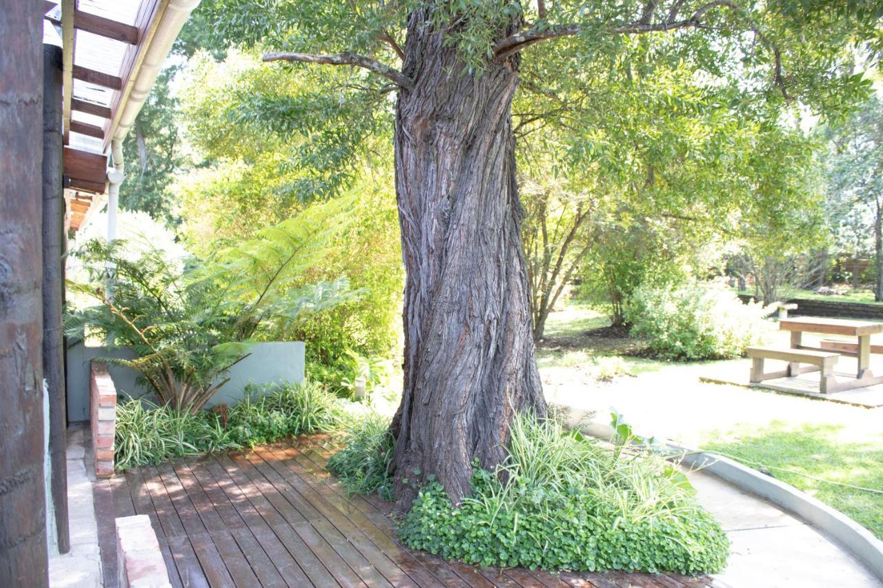 Andelomi Nature'S Rest Stormsrivier Esterno foto
