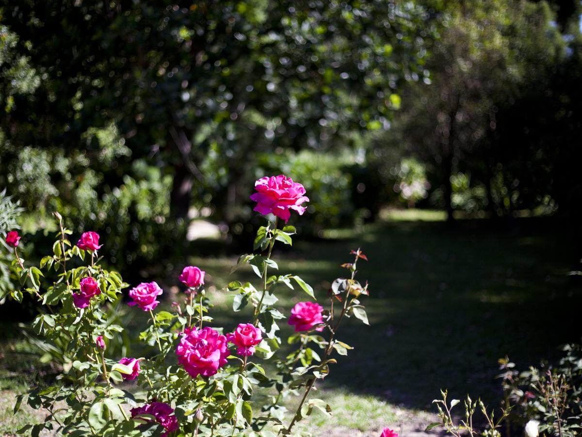 Andelomi Nature'S Rest Stormsrivier Esterno foto