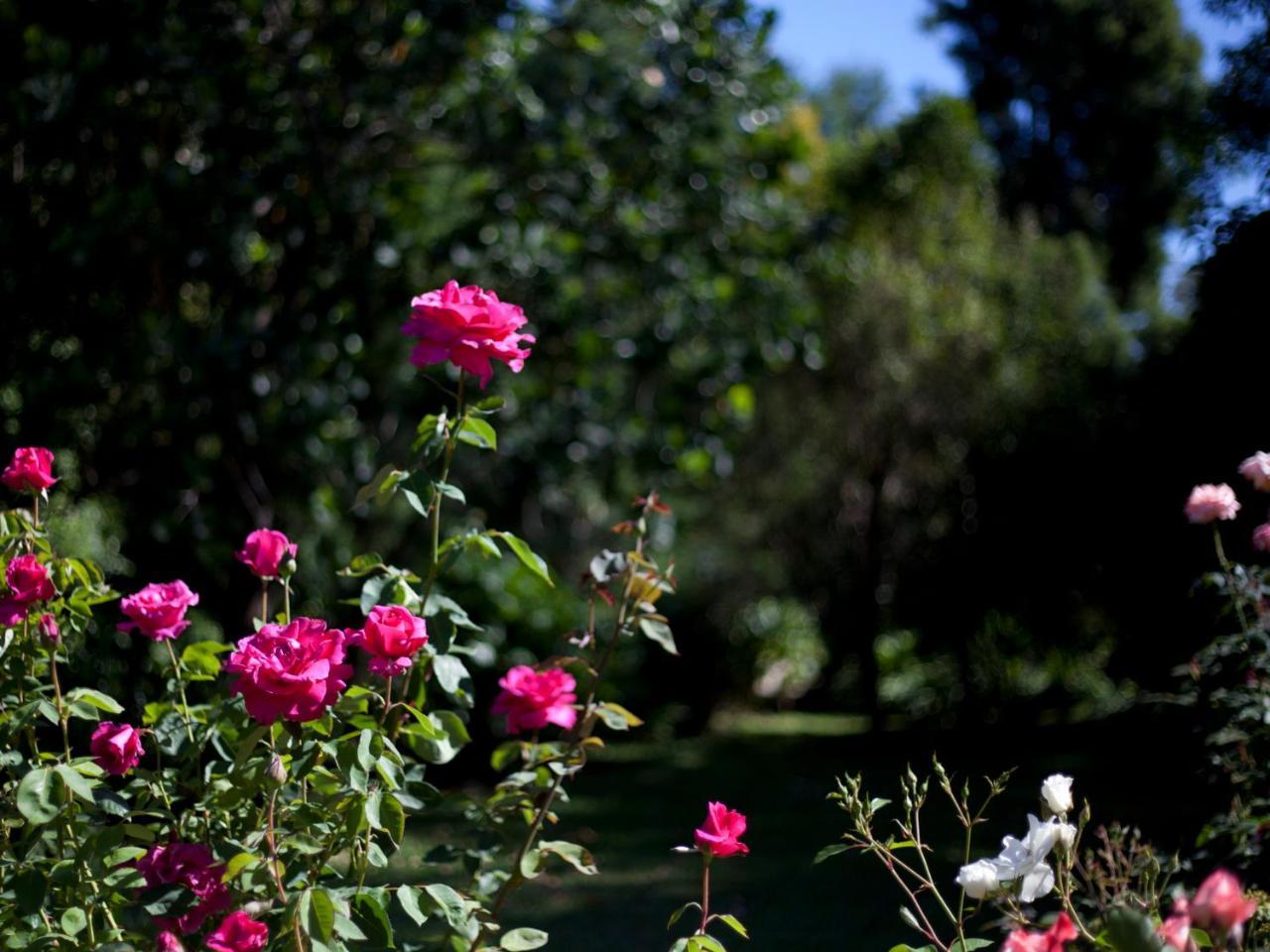 Andelomi Nature'S Rest Stormsrivier Esterno foto