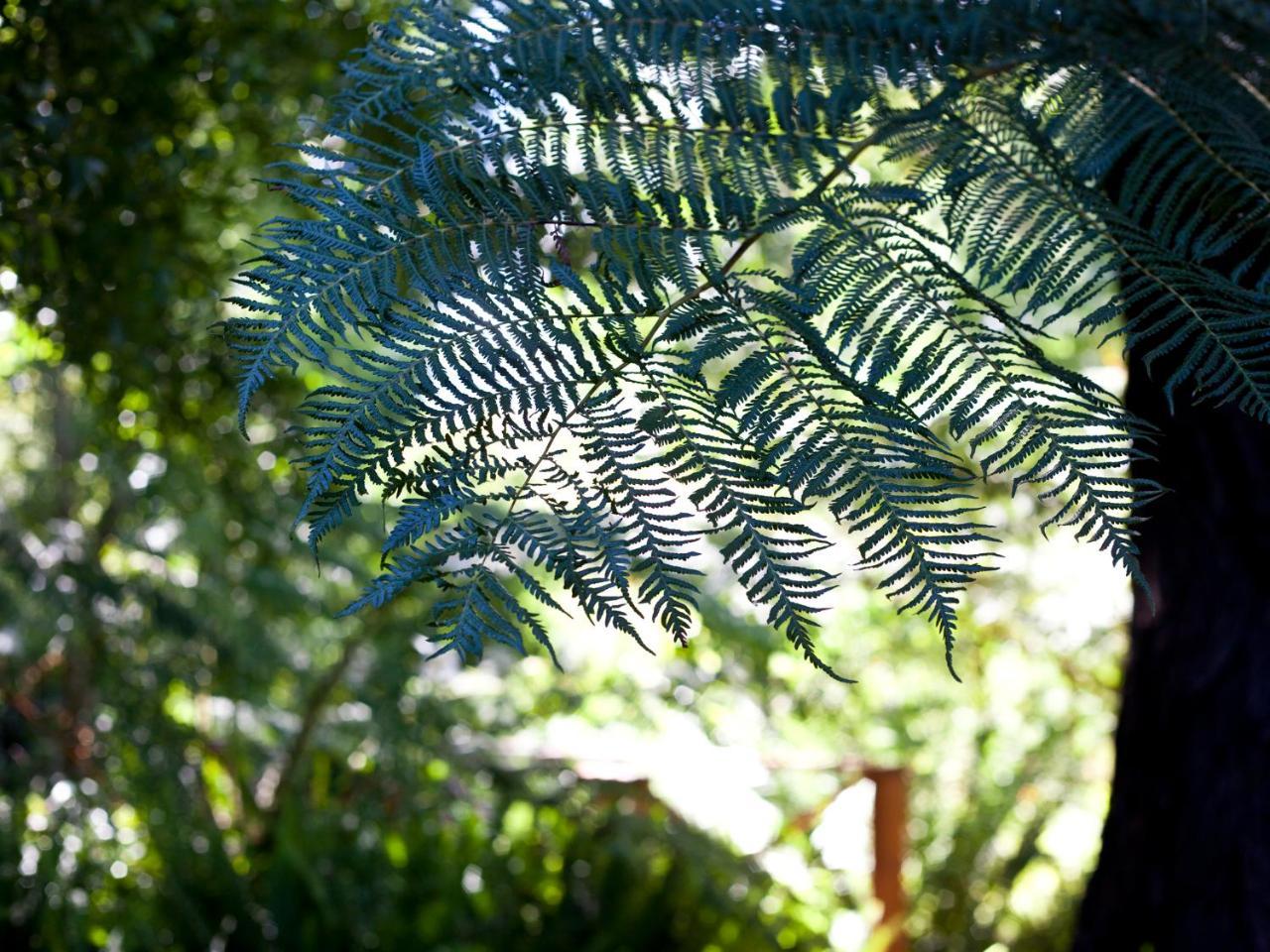 Andelomi Nature'S Rest Stormsrivier Esterno foto