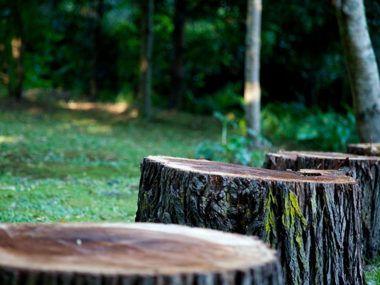 Andelomi Nature'S Rest Stormsrivier Esterno foto